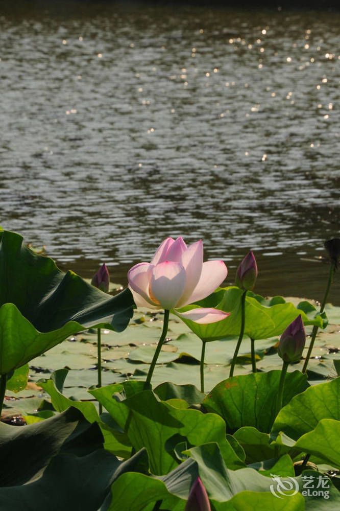 Jingzhai Otel Suzhou  Dış mekan fotoğraf